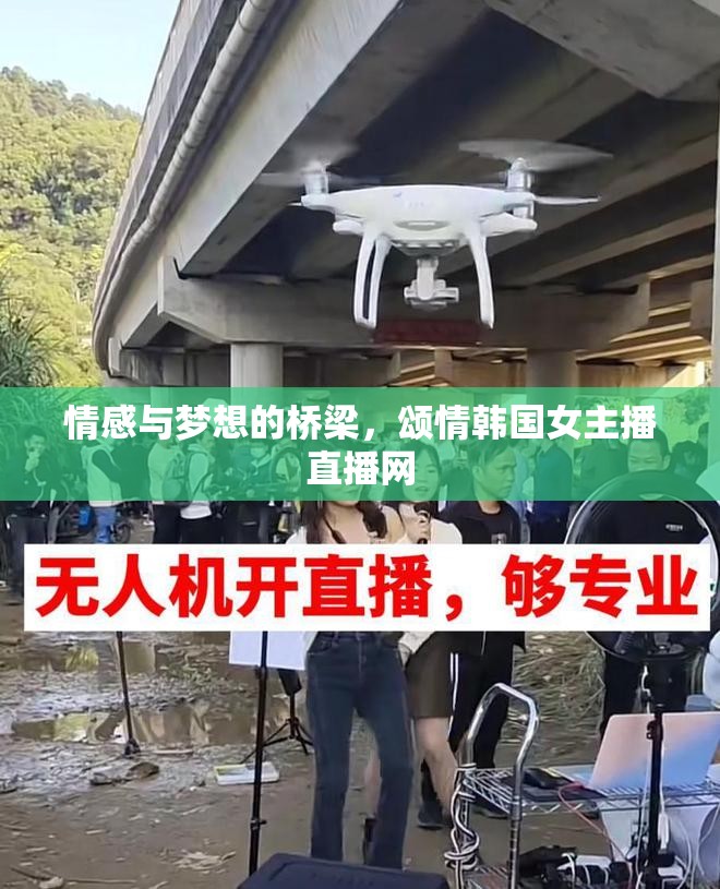 情感與夢(mèng)想的橋梁，頌情韓國女主播直播網(wǎng)