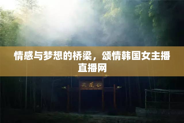 情感與夢(mèng)想的橋梁，頌情韓國女主播直播網(wǎng)
