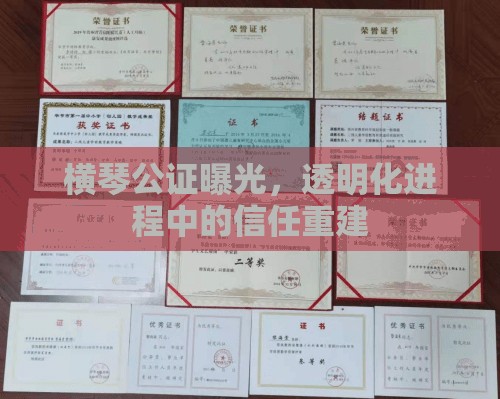 橫琴公證曝光，透明化進(jìn)程中的信任重建