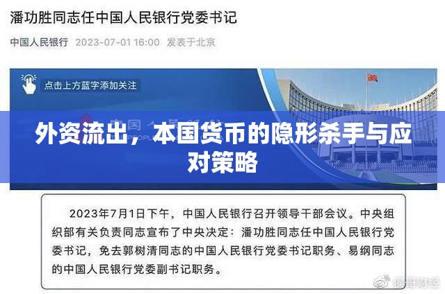 外資流出，本國貨幣的隱形殺手與應(yīng)對(duì)策略