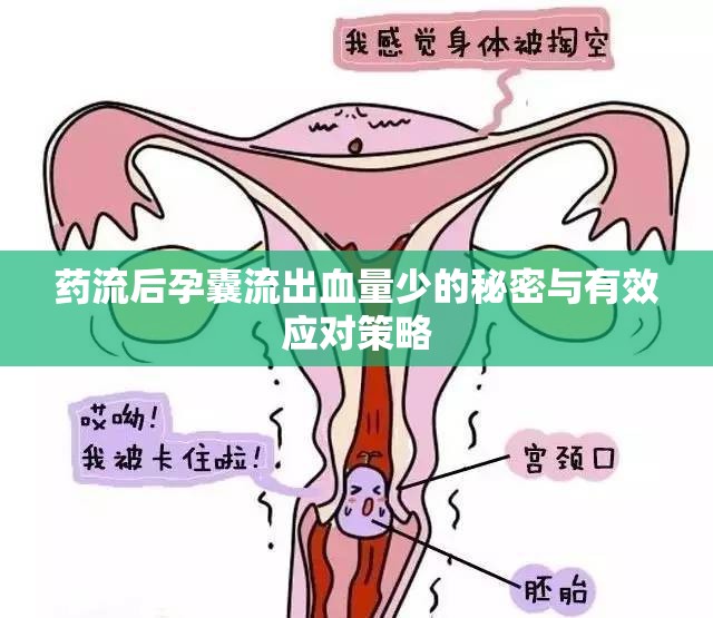 藥流后孕囊流出血量少的秘密與有效應(yīng)對策略