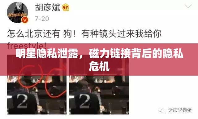 明星隱私泄露，磁力鏈接背后的隱私危機