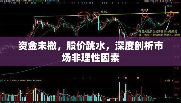 資金未撤，股價(jià)跳水，深度剖析市場(chǎng)非理性因素