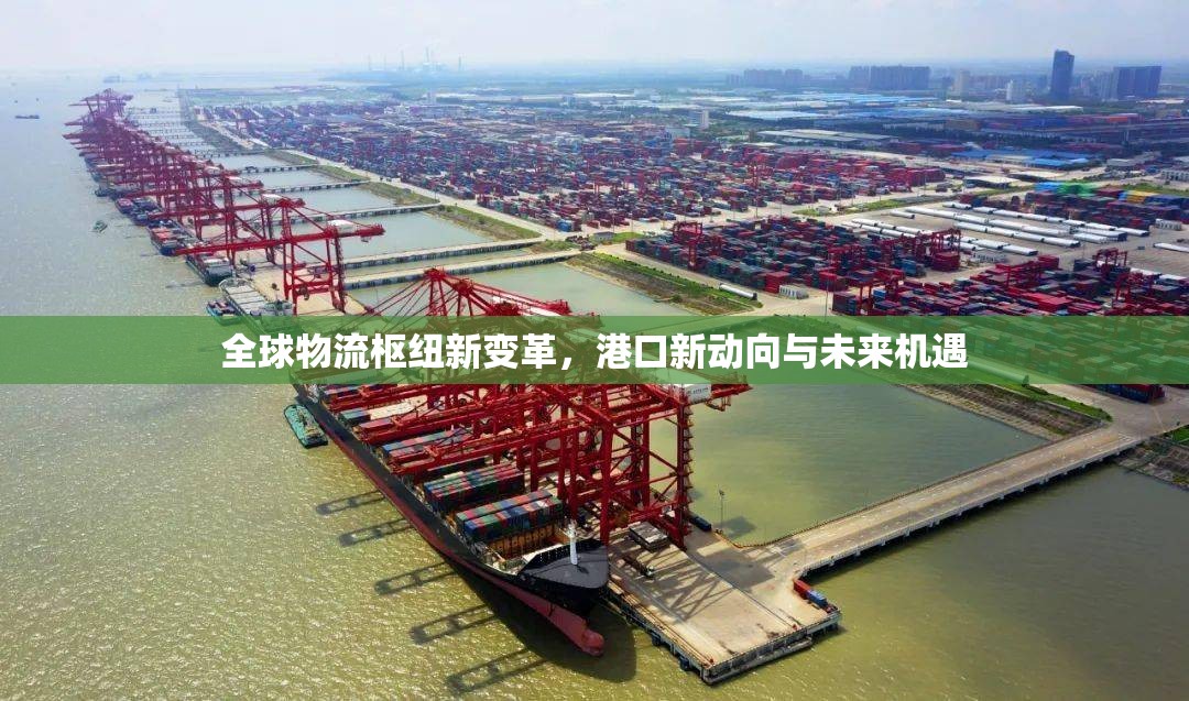 全球物流樞紐新變革，港口新動向與未來機遇