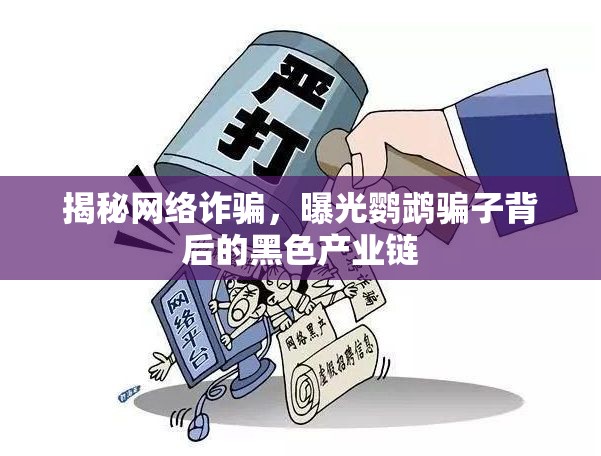 揭秘網(wǎng)絡(luò)詐騙，曝光鸚鵡騙子背后的黑色產(chǎn)業(yè)鏈