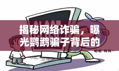 揭秘網(wǎng)絡(luò)詐騙，曝光鸚鵡騙子背后的黑色產(chǎn)業(yè)鏈