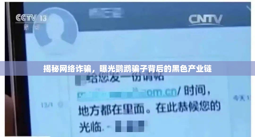 揭秘網(wǎng)絡(luò)詐騙，曝光鸚鵡騙子背后的黑色產(chǎn)業(yè)鏈