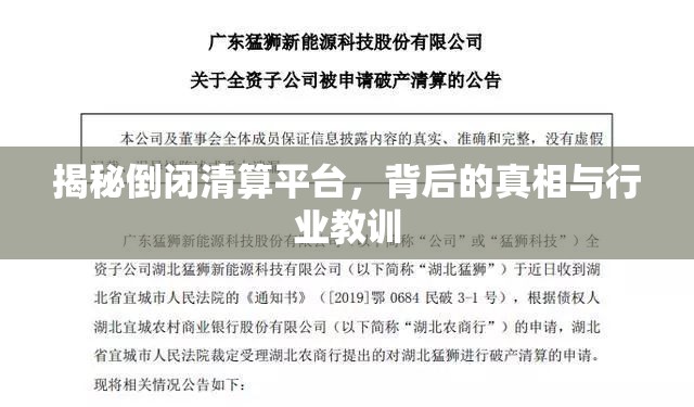 揭秘倒閉清算平臺(tái)，背后的真相與行業(yè)教訓(xùn)