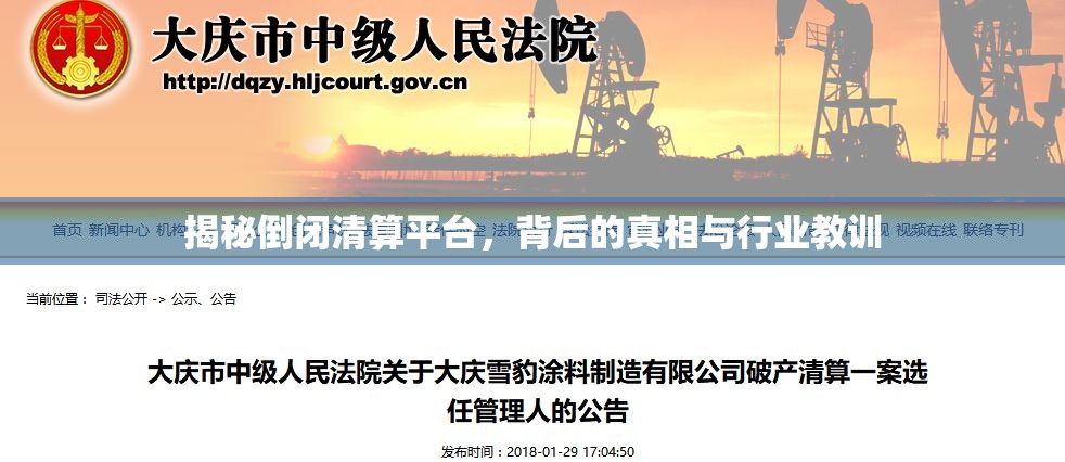 揭秘倒閉清算平臺(tái)，背后的真相與行業(yè)教訓(xùn)