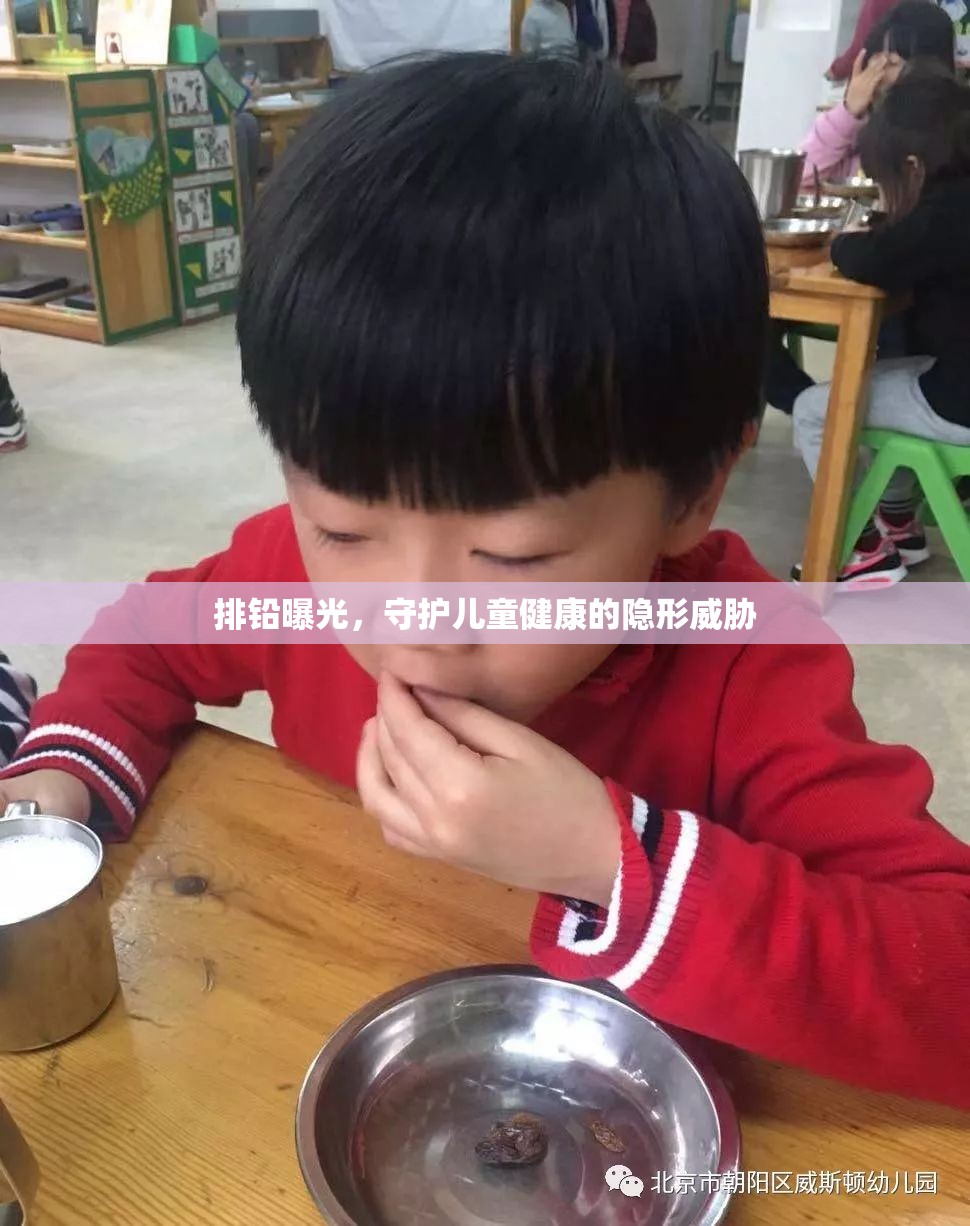 排鉛曝光，守護(hù)兒童健康的隱形威脅