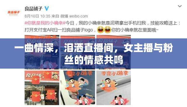 一曲情深，淚灑直播間，女主播與粉絲的情感共鳴