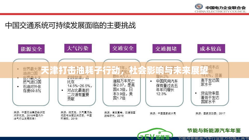 天津打擊油耗子行動，社會影響與未來展望