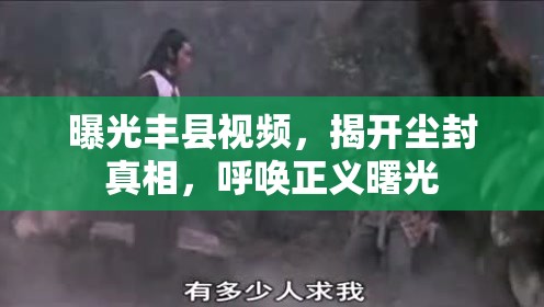 曝光豐縣視頻，揭開(kāi)塵封真相，呼喚正義曙光