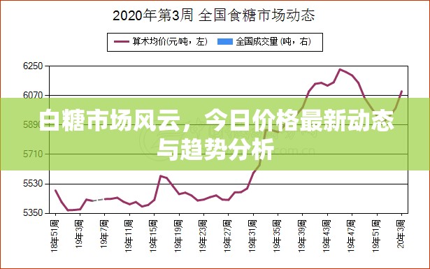 白糖市場(chǎng)風(fēng)云，今日價(jià)格最新動(dòng)態(tài)與趨勢(shì)分析