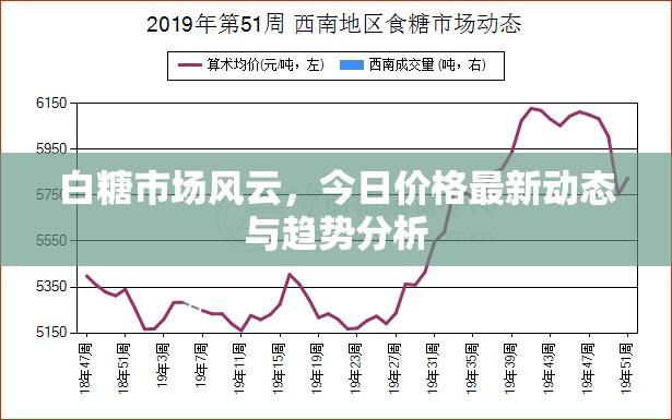 白糖市場(chǎng)風(fēng)云，今日價(jià)格最新動(dòng)態(tài)與趨勢(shì)分析