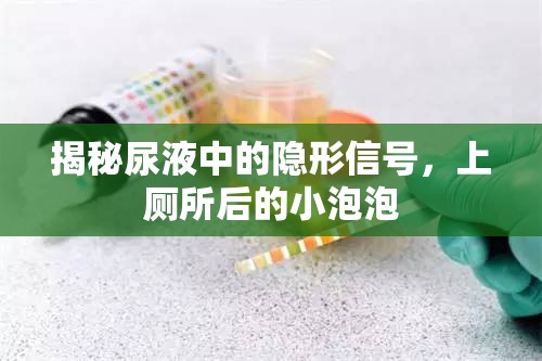 揭秘尿液中的隱形信號，上廁所后的小泡泡
