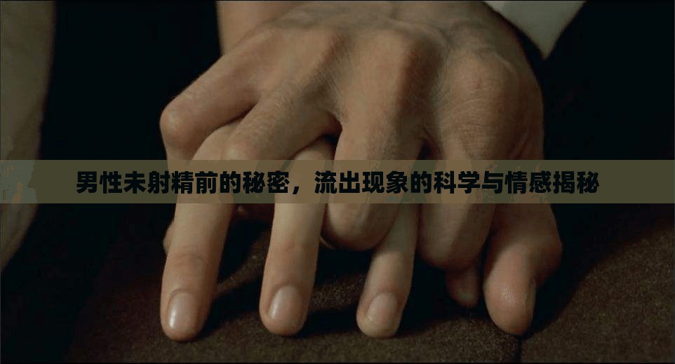 男性未射精前的秘密，流出現(xiàn)象的科學(xué)與情感揭秘