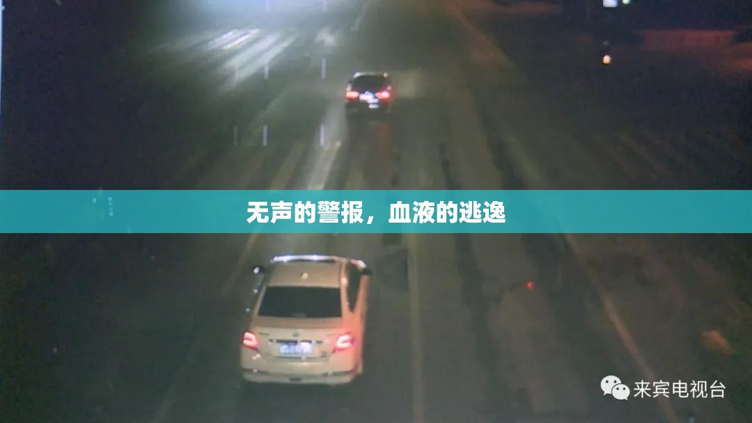 無聲的警報，血液的逃逸