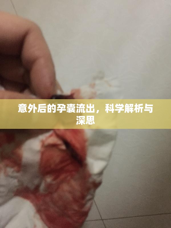 意外后的孕囊流出，科學解析與深思