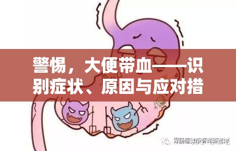 警惕，大便帶血——識(shí)別癥狀、原因與應(yīng)對(duì)措施