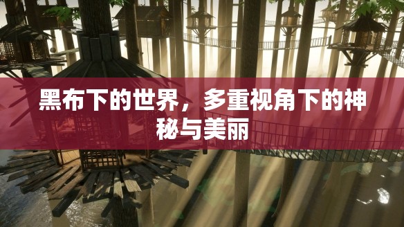 黑布下的世界，多重視角下的神秘與美麗