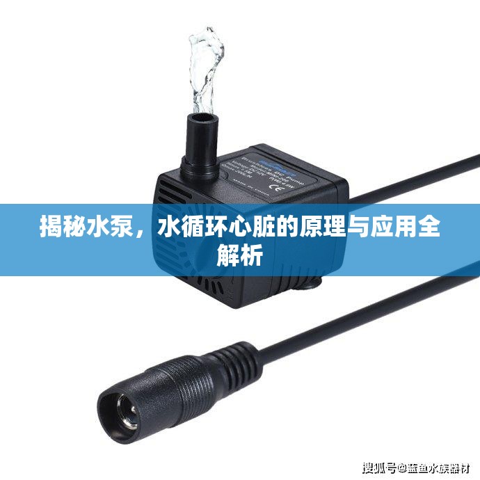 揭秘水泵，水循環(huán)心臟的原理與應(yīng)用全解析