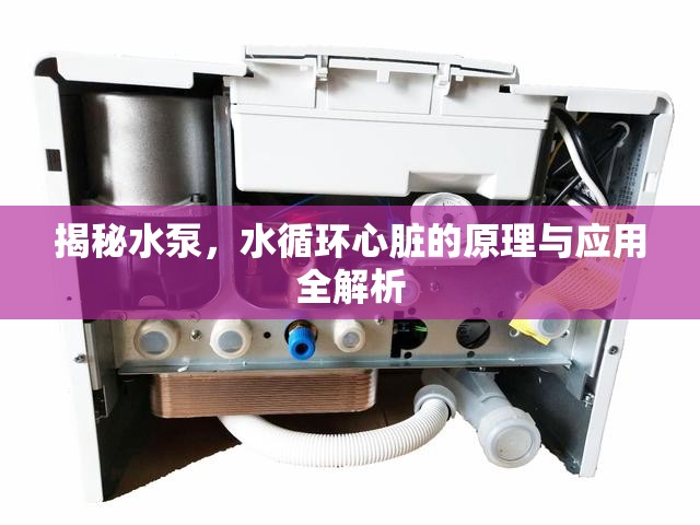 揭秘水泵，水循環(huán)心臟的原理與應(yīng)用全解析