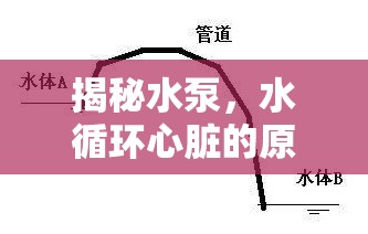 揭秘水泵，水循環(huán)心臟的原理與應(yīng)用全解析