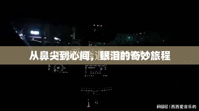 從鼻尖到心間，眼淚的奇妙旅程