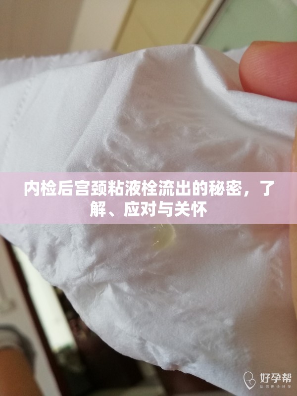 內(nèi)檢后宮頸粘液栓流出的秘密，了解、應(yīng)對與關(guān)懷