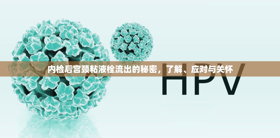 內(nèi)檢后宮頸粘液栓流出的秘密，了解、應(yīng)對與關(guān)懷