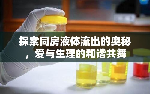 探索同房液體流出的奧秘，愛與生理的和諧共舞