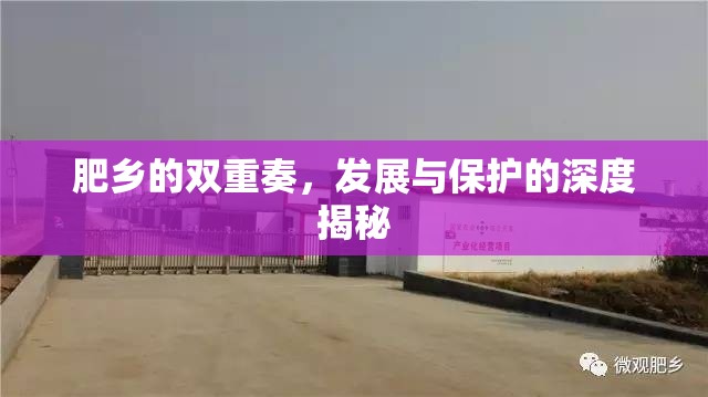 肥鄉(xiāng)的雙重奏，發(fā)展與保護(hù)的深度揭秘