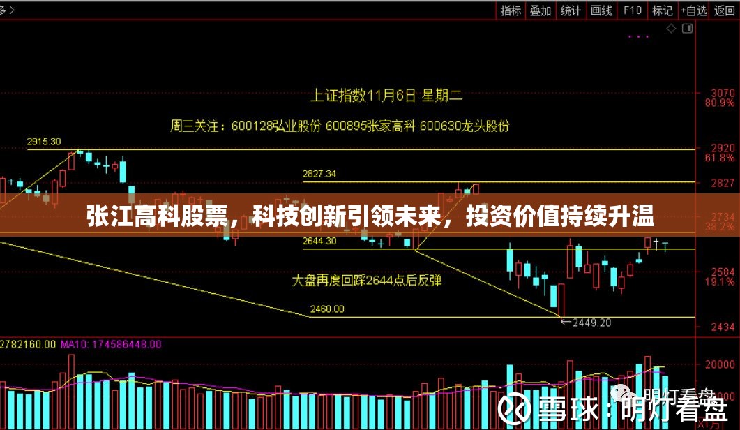 張江高科股票，科技創(chuàng)新引領(lǐng)未來，投資價值持續(xù)升溫