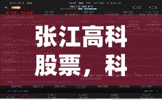 張江高科股票，科技創(chuàng)新引領(lǐng)未來，投資價值持續(xù)升溫