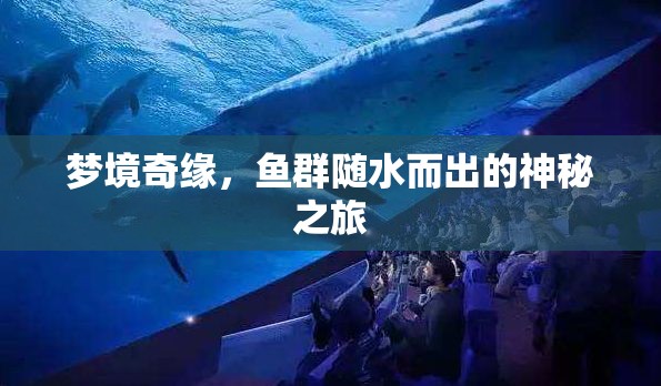 夢(mèng)境奇緣，魚(yú)群隨水而出的神秘之旅