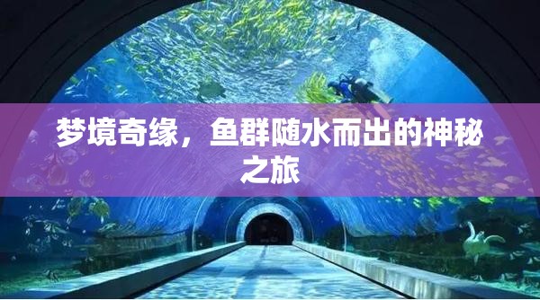 夢(mèng)境奇緣，魚(yú)群隨水而出的神秘之旅