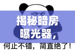 揭秘暗房曝光器，探索攝影的神秘面紗
