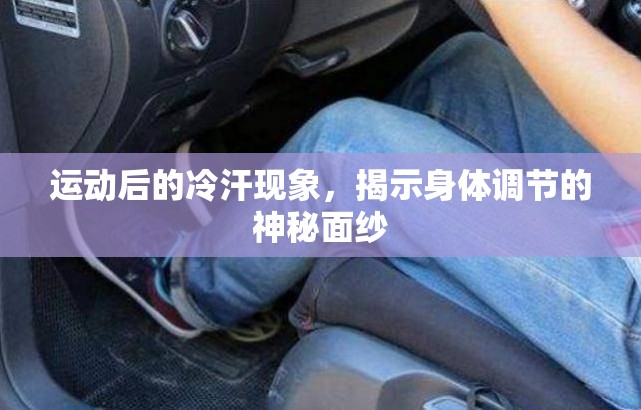 運(yùn)動(dòng)后的冷汗現(xiàn)象，揭示身體調(diào)節(jié)的神秘面紗