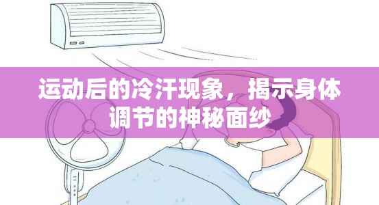 運(yùn)動(dòng)后的冷汗現(xiàn)象，揭示身體調(diào)節(jié)的神秘面紗