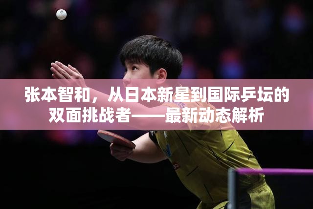 張本智和，從日本新星到國際乒壇的雙面挑戰(zhàn)者——最新動態(tài)解析