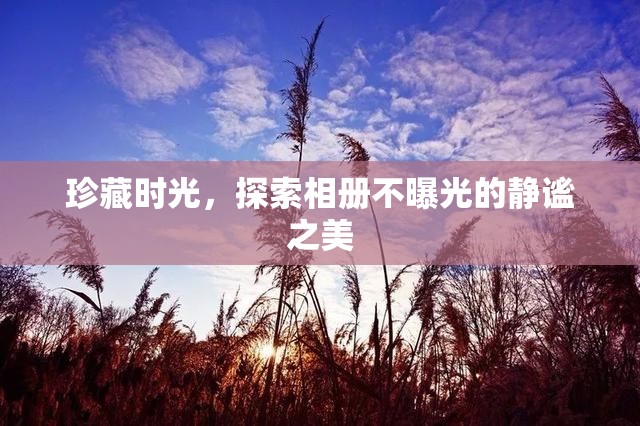 珍藏時光，探索相冊不曝光的靜謐之美