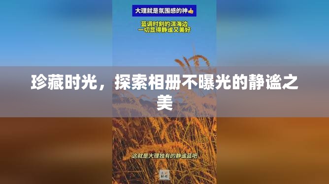 珍藏時光，探索相冊不曝光的靜謐之美