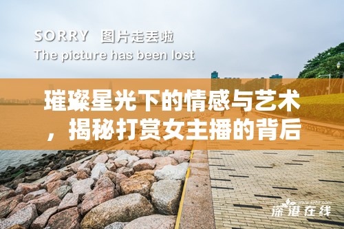 璀璨星光下的情感與藝術(shù)，揭秘打賞女主播的背后