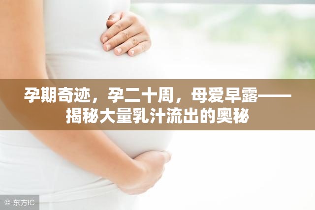 孕期奇跡，孕二十周，母愛早露——揭秘大量乳汁流出的奧秘