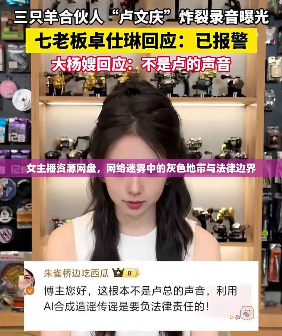 女主播資源網(wǎng)盤(pán)，網(wǎng)絡(luò)迷霧中的灰色地帶與法律邊界