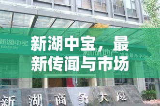 新湖中寶，最新傳聞與市場動態(tài)深度解析