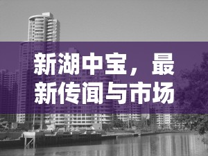 新湖中寶，最新傳聞與市場動態(tài)深度解析