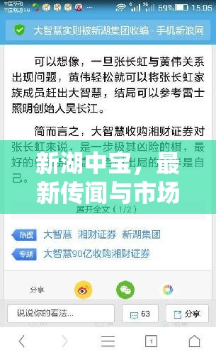 新湖中寶，最新傳聞與市場動態(tài)深度解析