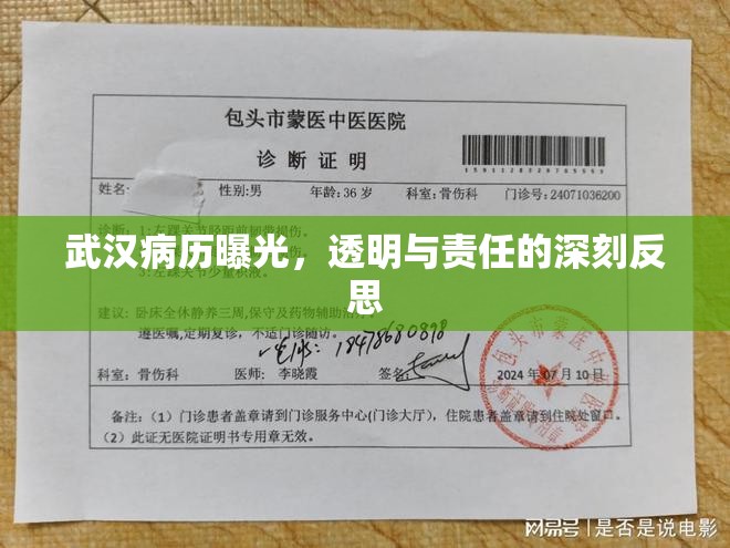 武漢病歷曝光，透明與責(zé)任的深刻反思